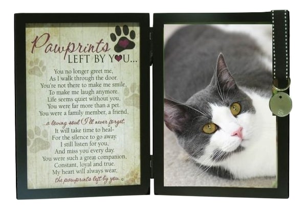 cat loss pawprints left by you memorial photo frame